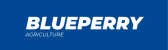 Blueperry agriculture