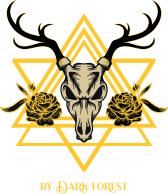 Dark Forest Ltd