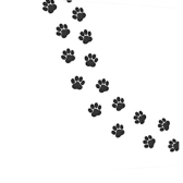 Pet Pharm Canada