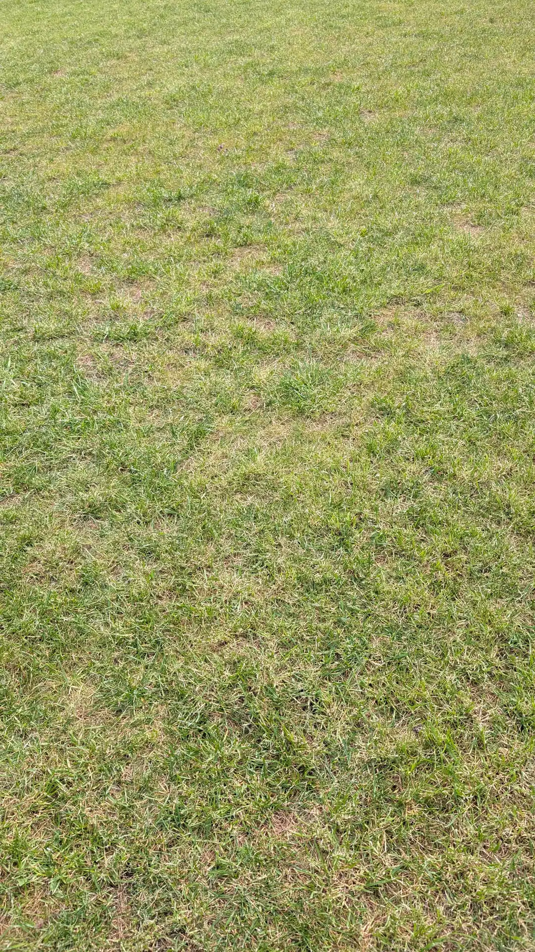 Nie wieder selbst mähen – große Zeitersparnis