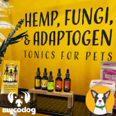 CBD Dog Health
