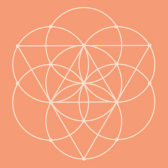 Elevate Ecommerce FZE