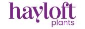 Hayloft Plants - Accelerate