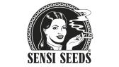 Sensi CBD