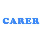 SPARK INDUSTRY LIMITED