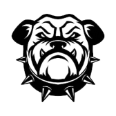 Spikedogcollars