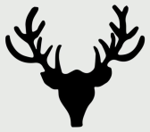 Taxidermy LLC